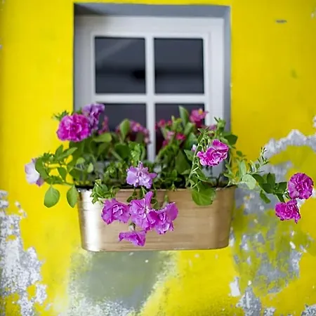 Miss Sophie's New Town & Wellness براغ