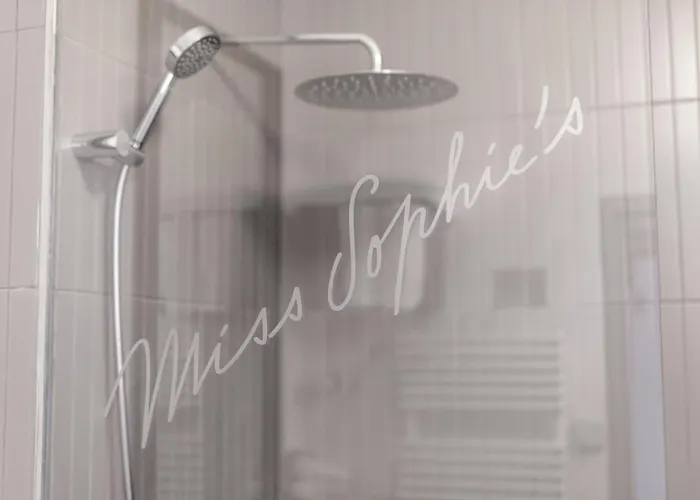 ホテル Miss Sophie's New Town & Wellness プラハ